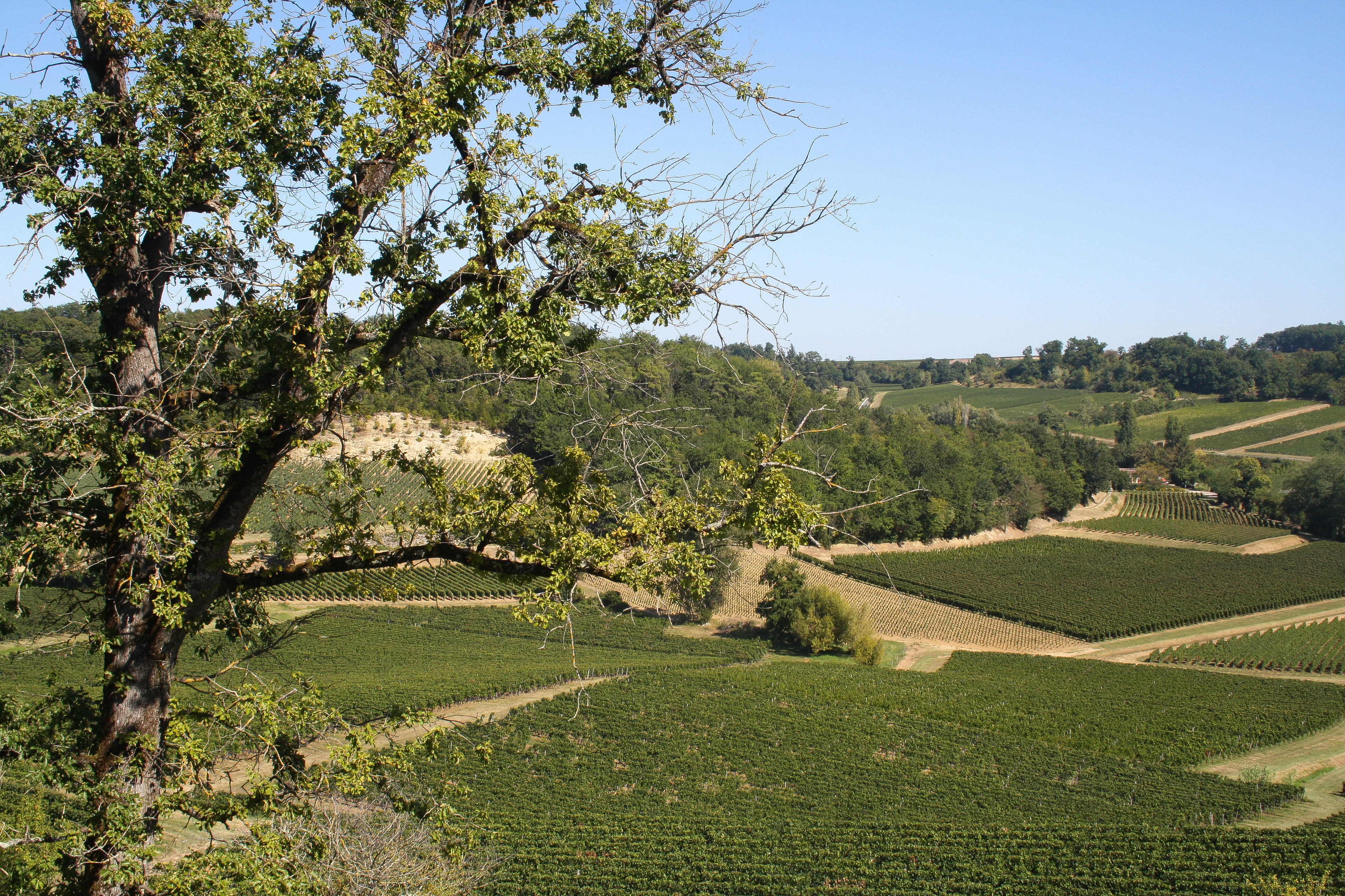 Travel, The Finer Things Club